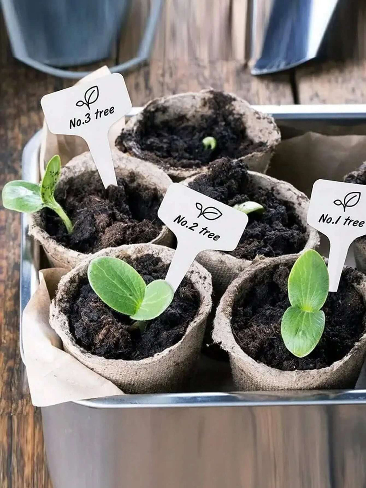 "50-Pack Waterproof T-Shaped Plant Labels for Garden and Potted Plants"-Allen Cozy Haven Store