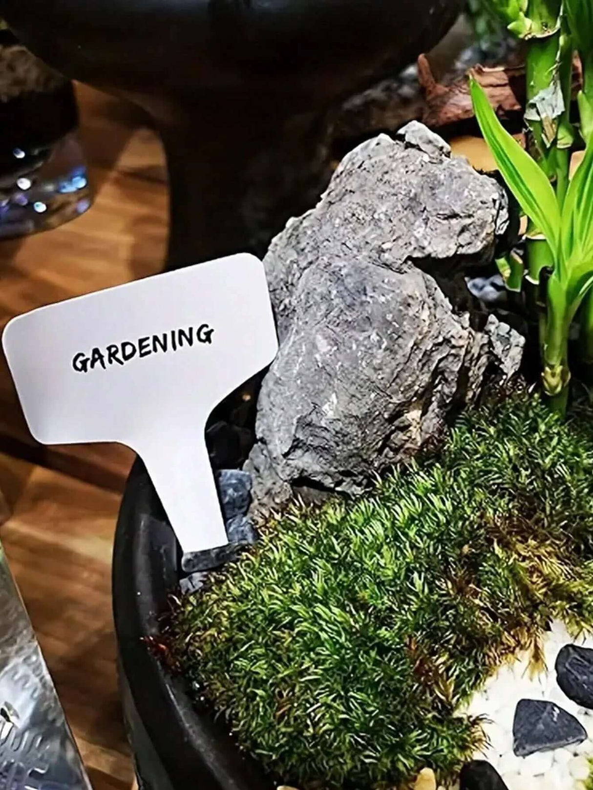 "50-Pack Waterproof T-Shaped Plant Labels for Garden and Potted Plants"-Allen Cozy Haven Store