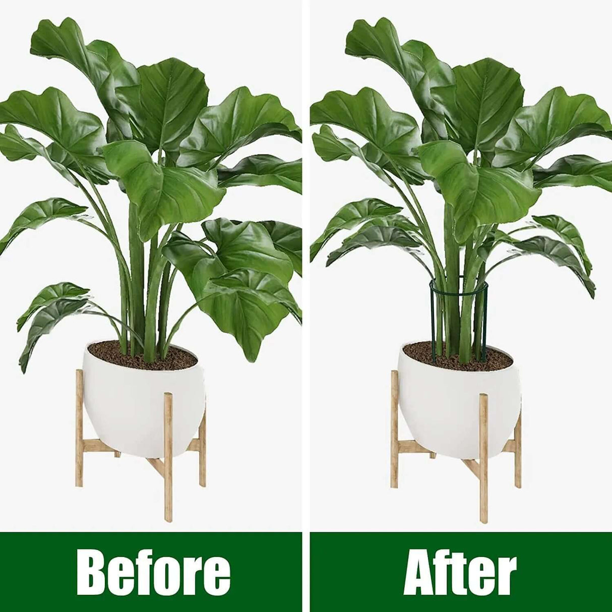 6-Pack Metal Garden Plant Support Stakes - 10" Wide x 16" High Green Half-Round Support Rings for Potted Plants, Ideal for Tomatoes and Hydrangeas-Allen Cozy Haven Store