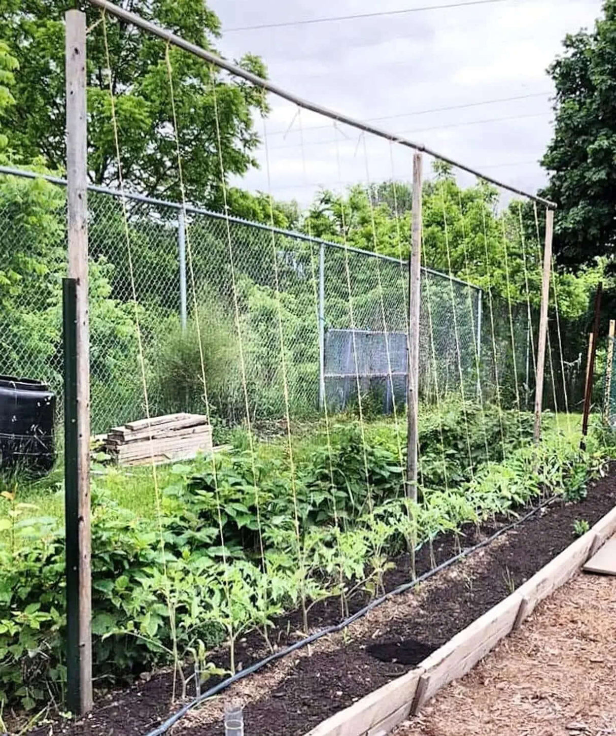 6300FT Premium Tomato Tying Garden Twine-Allen Cozy Haven Store