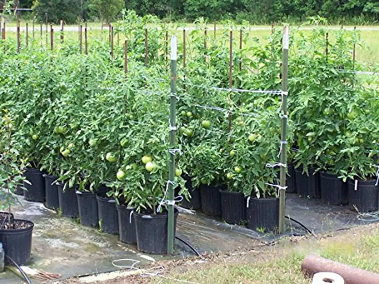 6300FT Premium Tomato Tying Garden Twine-Allen Cozy Haven Store