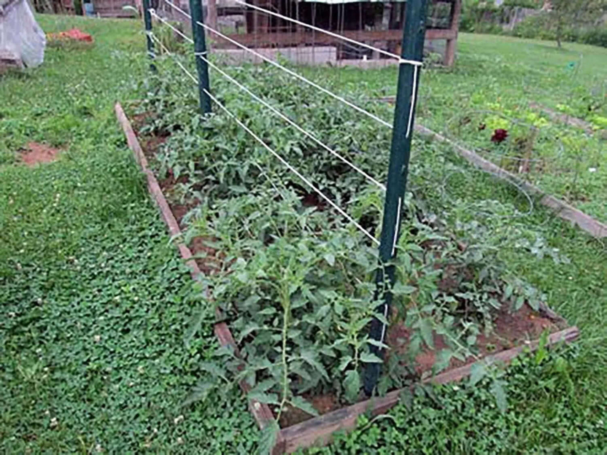 6300FT Premium Tomato Tying Garden Twine-Allen Cozy Haven Store