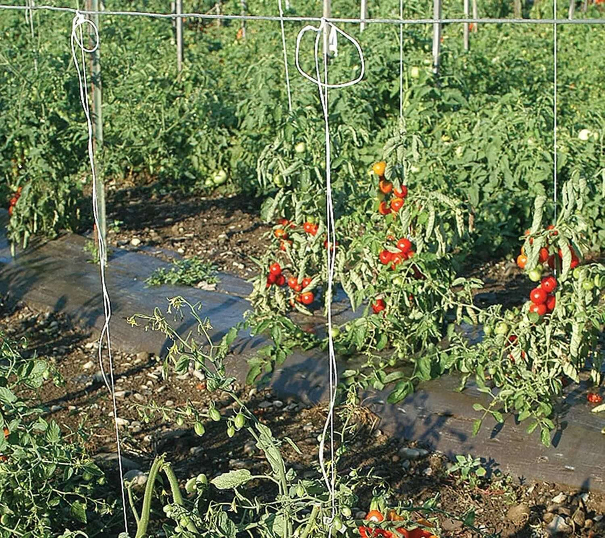 6300FT Premium Tomato Tying Garden Twine-Allen Cozy Haven Store