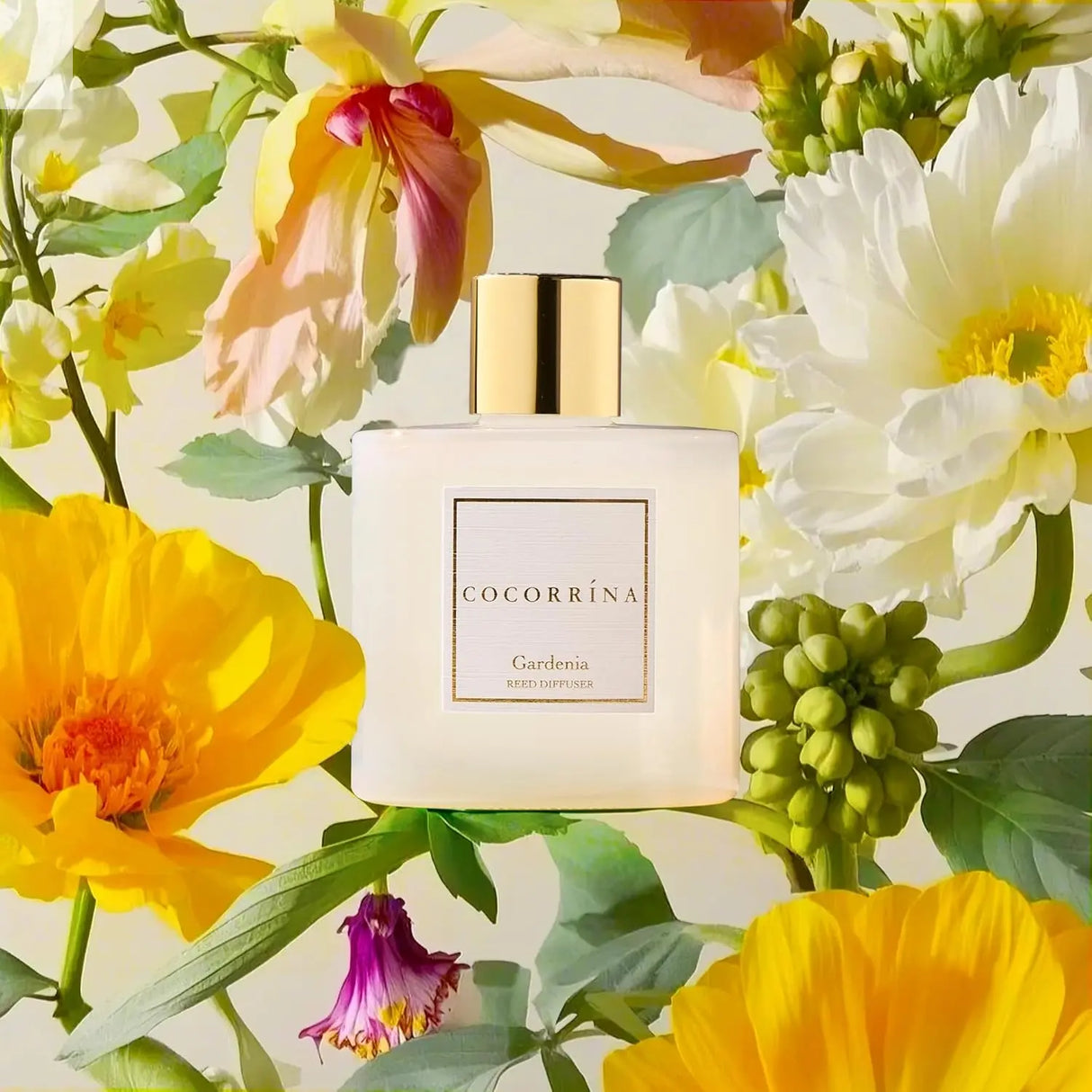 COCORRÍNA Reed Diffuser - Gardenia 6.7 Fl.oz Reed Diffuser Set with Sticks & Preserved Baby's Breath, Reed Diffuser for Home Bathroom Shelf Decor Allen Cozy Haven Store