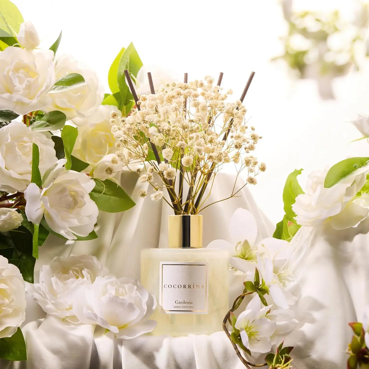 COCORRÍNA Reed Diffuser - Gardenia 6.7 Fl.oz Reed Diffuser Set with Sticks & Preserved Baby's Breath, Reed Diffuser for Home Bathroom Shelf Decor Allen Cozy Haven Store