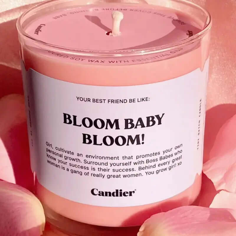 Candier Premium Luxury Scented Candles Allen Cozy Haven Store