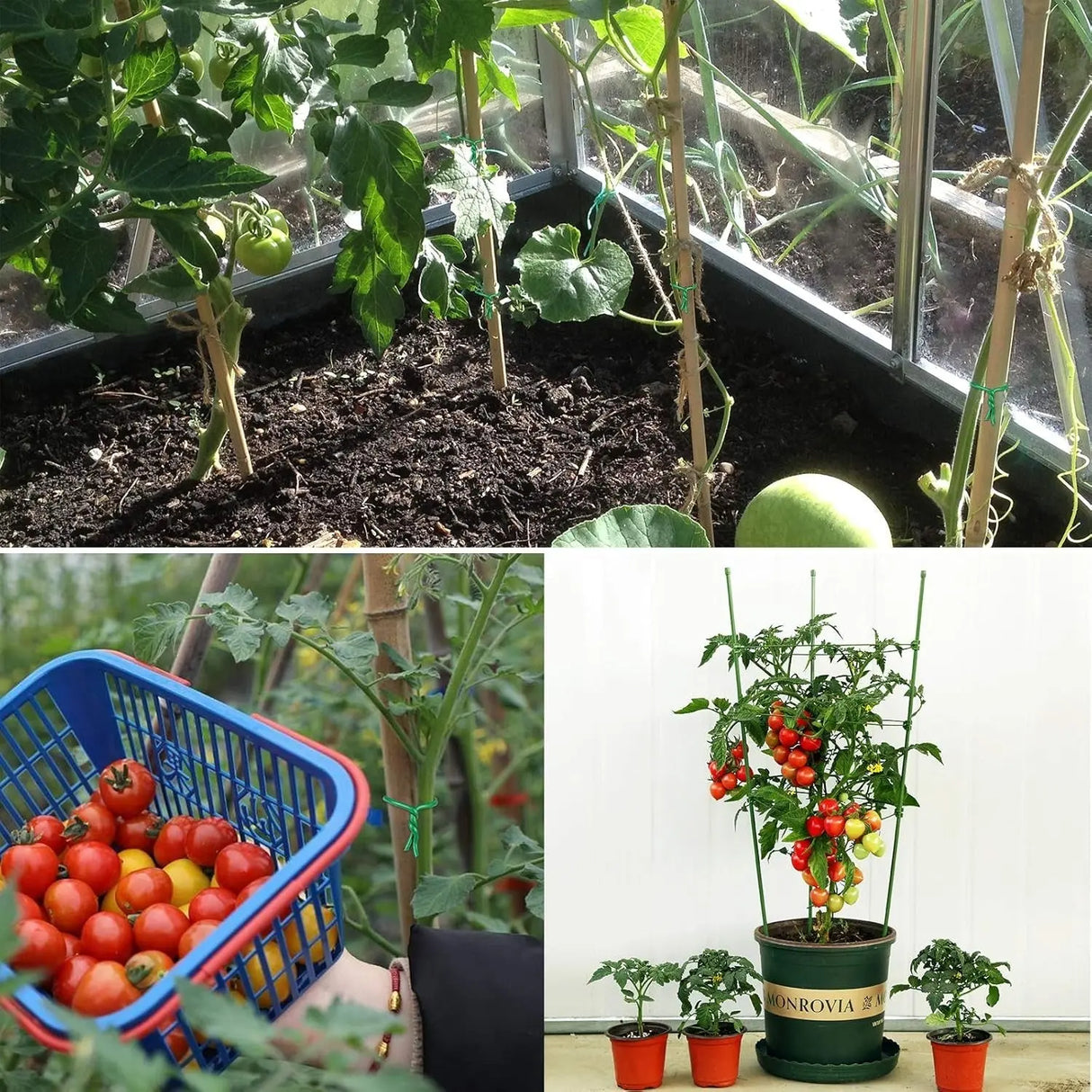 Heavy-Duty Reusable Garden Plant Wire Twist Ties - Soft Wire Ties for Gardening and Home Office (Green, 2 Pack, Total Length 65.6 Feet)-Allen Cozy Haven Store