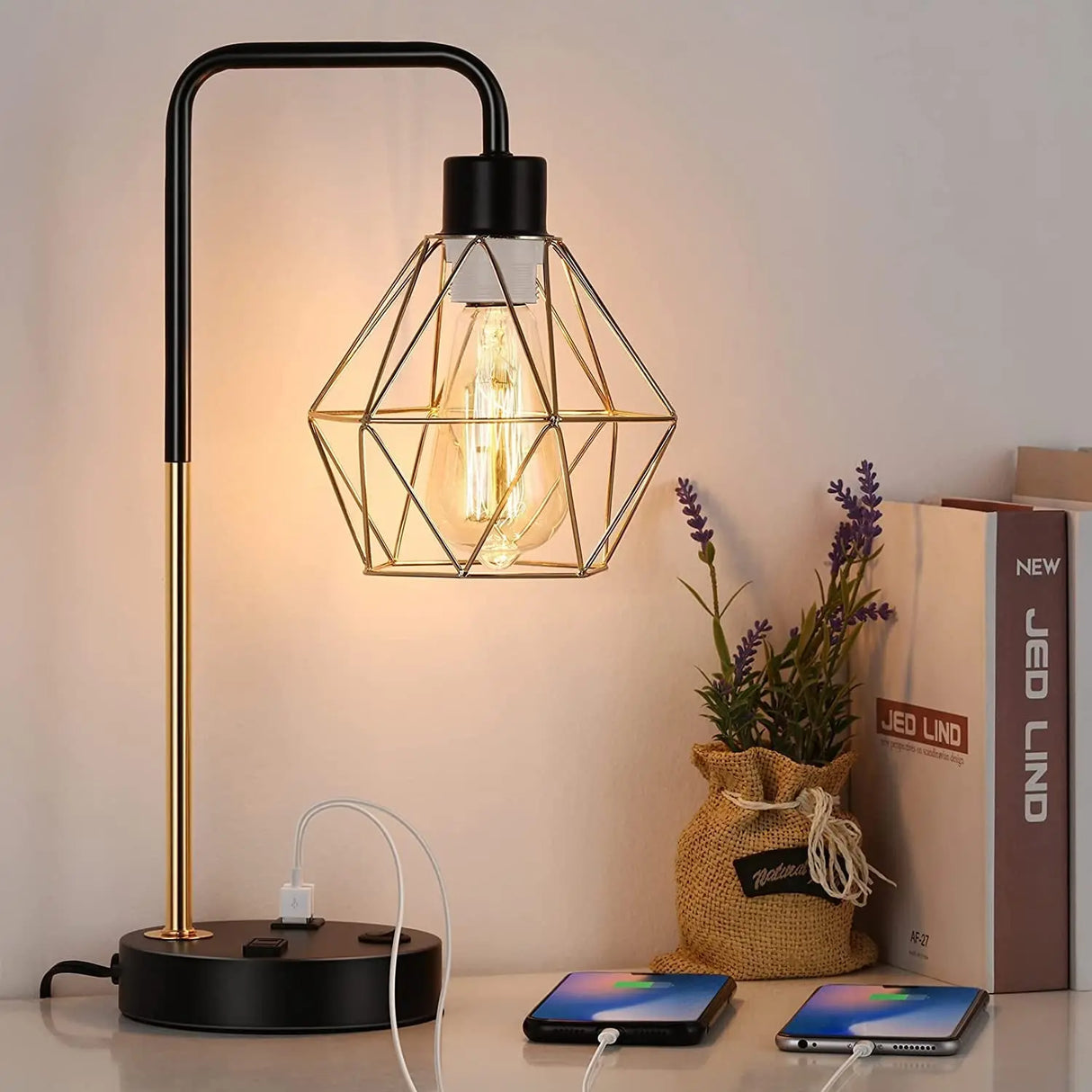 Industrial USB Desk Lamp, Edison Desk Lamp Gold Metal Cage Table Lamp with 2 USB Ports and 1 AC Outlet-Allen Cozy Haven Store