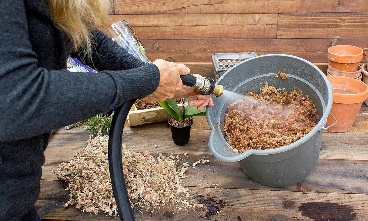 Orchid Sphagnum Moss - Dried Natural 8 oz-Allen Cozy Haven Store