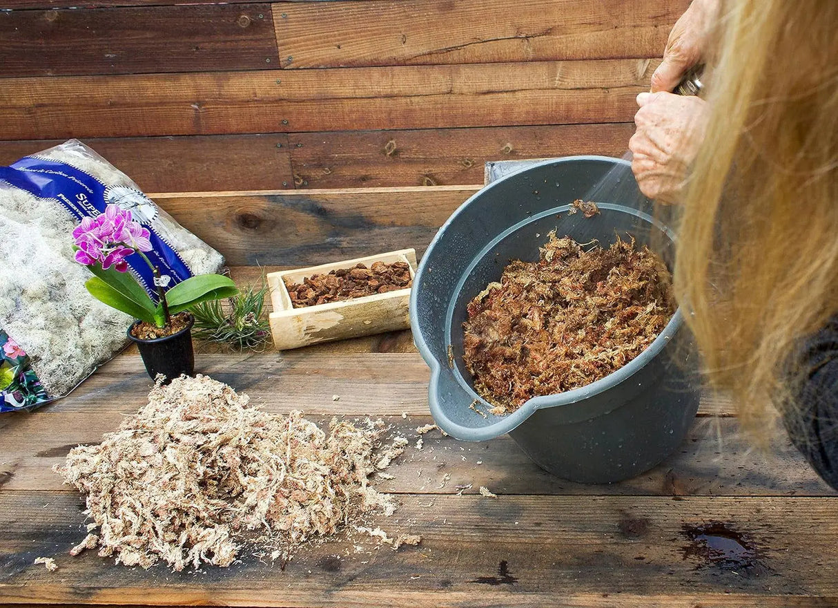 Orchid Sphagnum Moss - Dried Natural 8 oz-Allen Cozy Haven Store