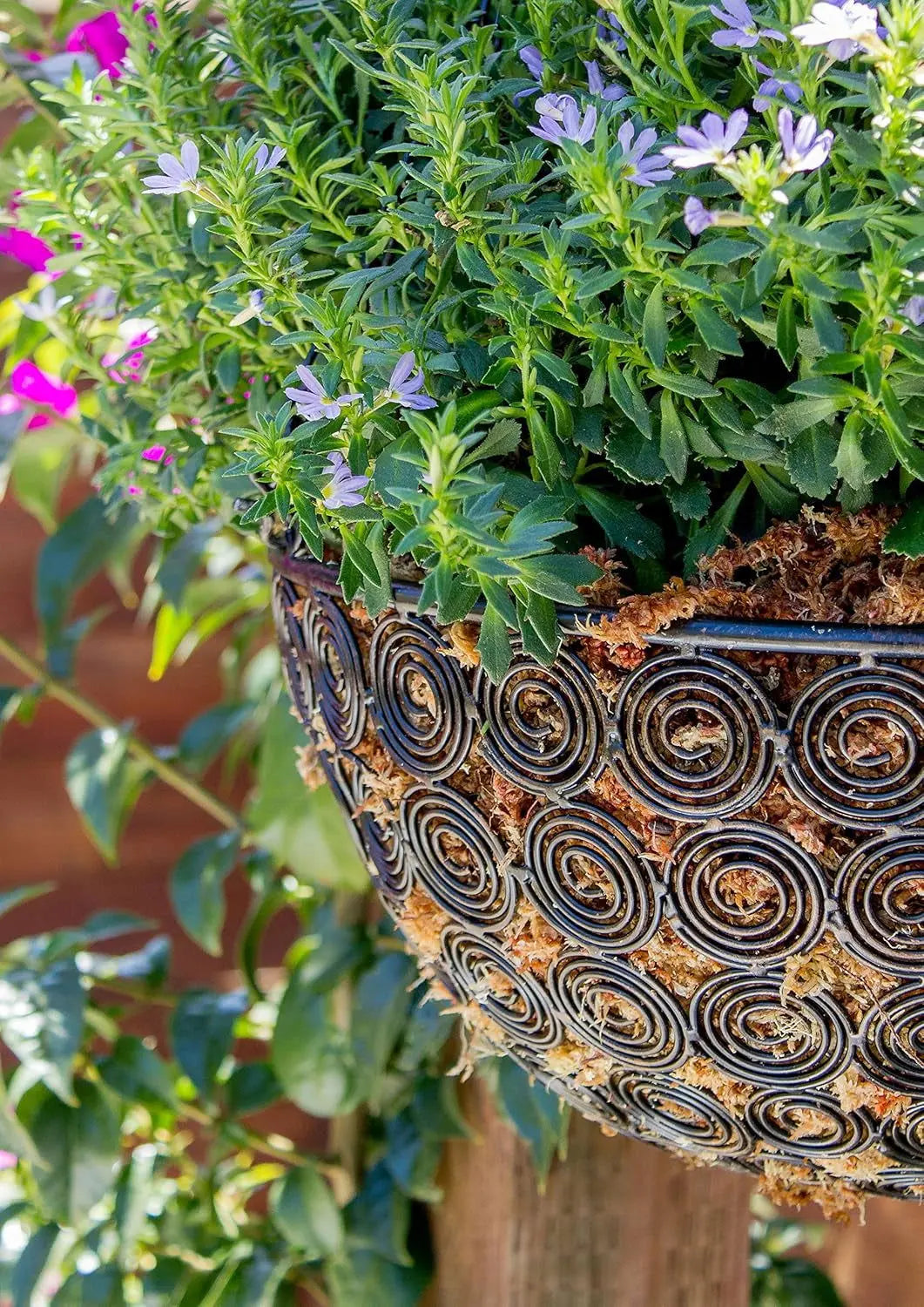 Orchid Sphagnum Moss - Dried Natural 8 oz-Allen Cozy Haven Store