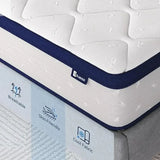 10 Inch in a Box for Pain Relief & Motion Isolation, CertiPUR-US Certified Bed Mattress Allen Cozy Haven Store