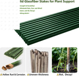48-Inch Garden Stakes - 20 Pack Solid Fiberglass Plant Support Rods for Tomato Trellis (Green) SnyGardn