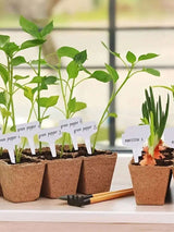 "50-Pack Waterproof T-Shaped Plant Labels for Garden and Potted Plants"-Allen Cozy Haven Store