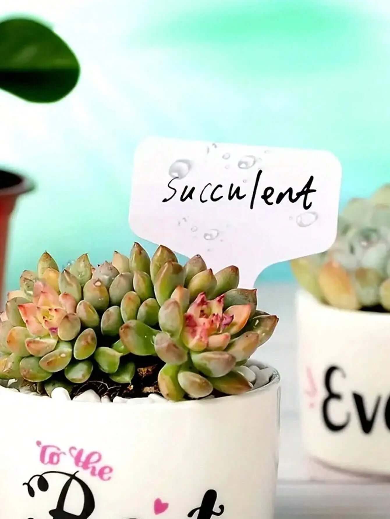 "50-Pack Waterproof T-Shaped Plant Labels for Garden and Potted Plants"-Allen Cozy Haven Store