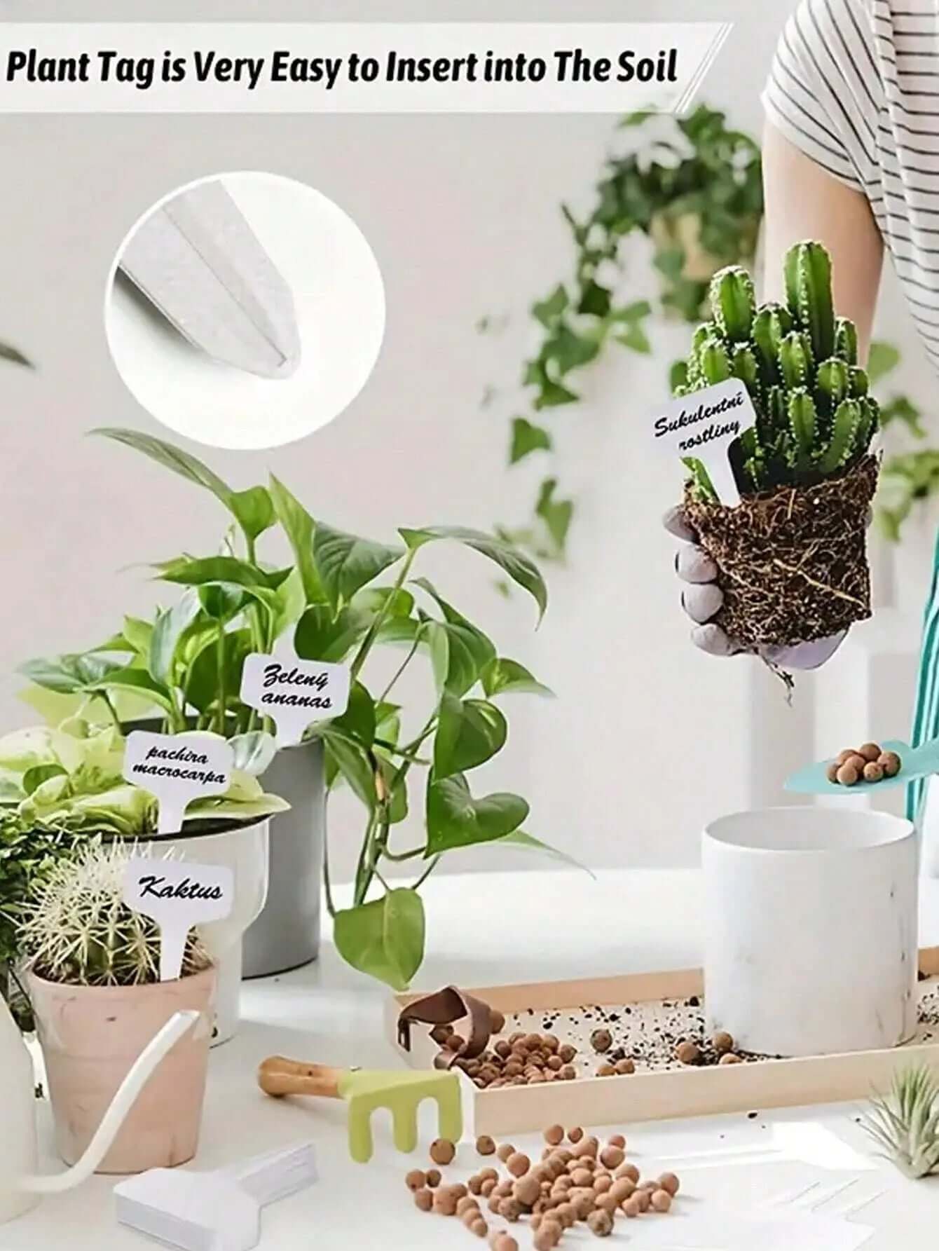 "50-Pack Waterproof T-Shaped Plant Labels for Garden and Potted Plants"-Allen Cozy Haven Store