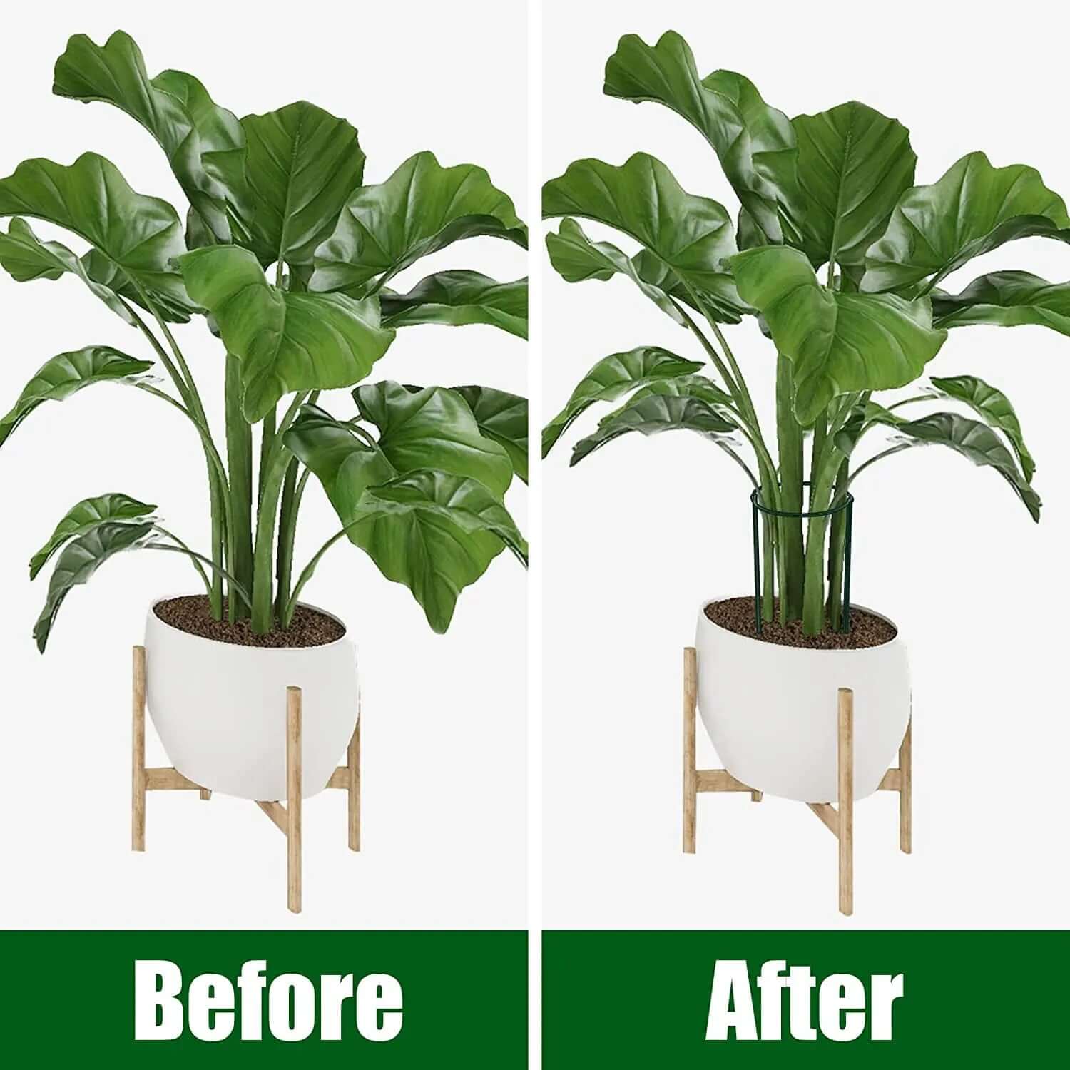 6-Pack Metal Garden Plant Support Stakes - 10" Wide x 16" High Green Half-Round Support Rings for Potted Plants, Ideal for Tomatoes and Hydrangeas-Allen Cozy Haven Store