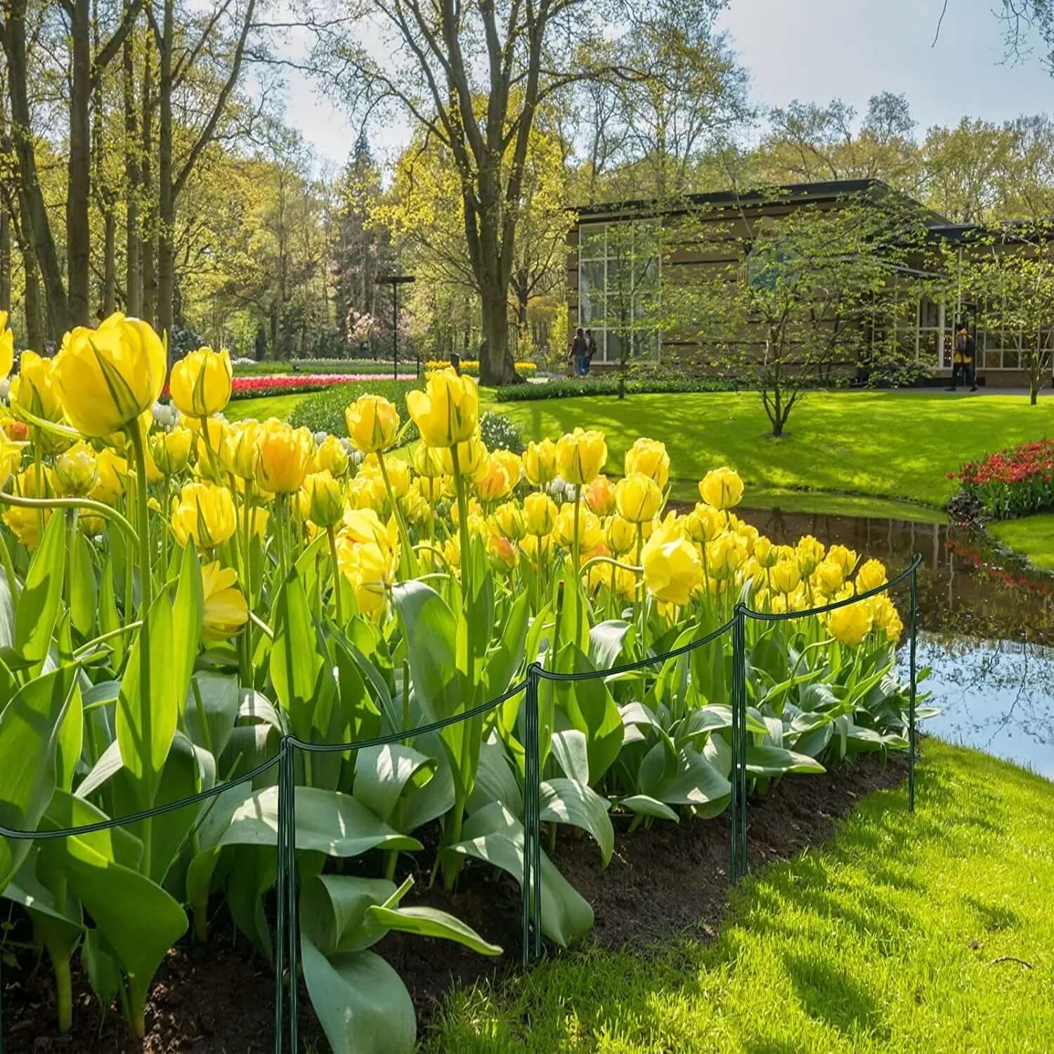 6-Pack Metal Garden Plant Support Stakes - 10" Wide x 16" High Green Half-Round Support Rings for Potted Plants, Ideal for Tomatoes and Hydrangeas-Allen Cozy Haven Store