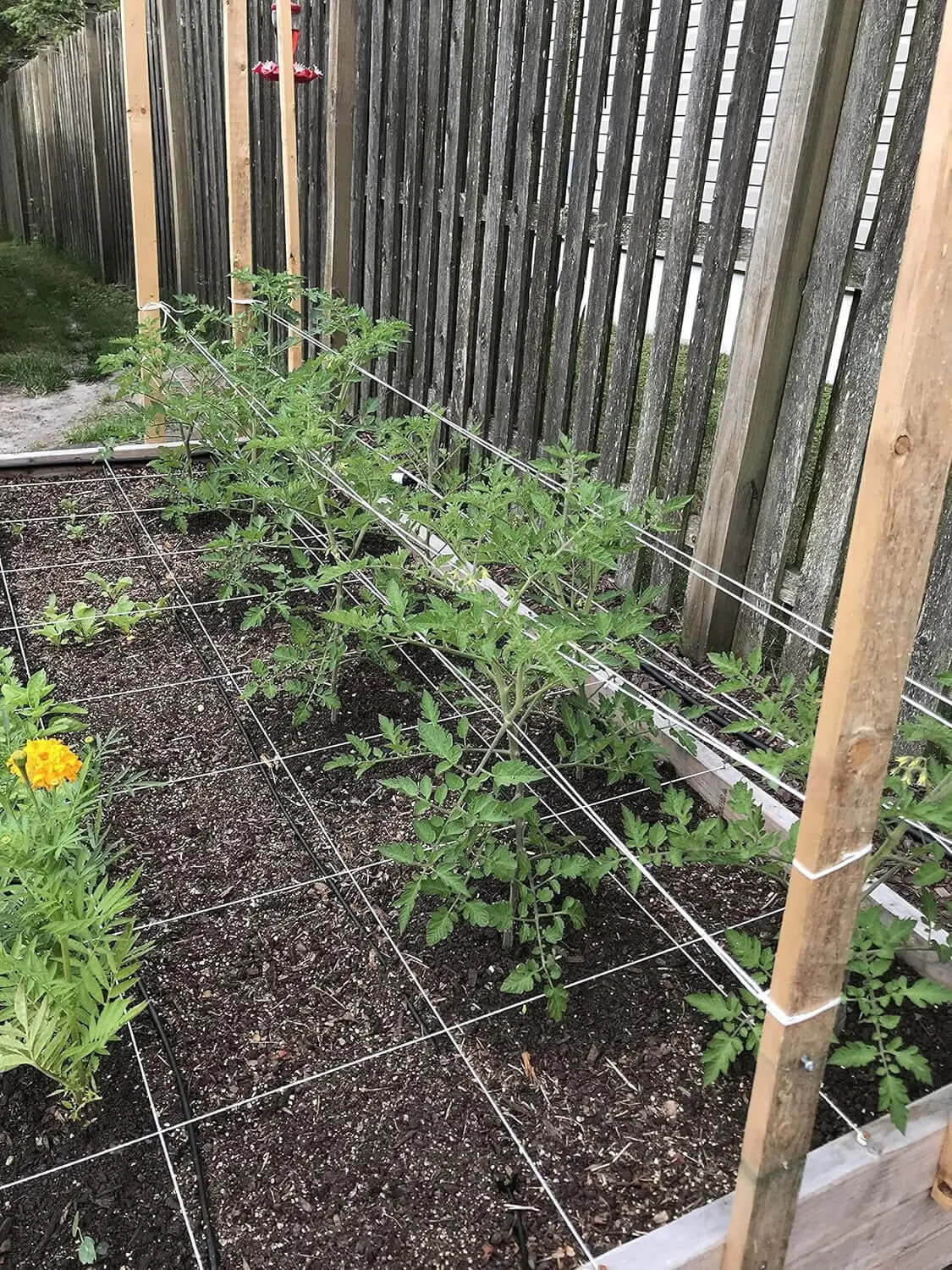 6300FT Premium Tomato Tying Garden Twine-Allen Cozy Haven Store