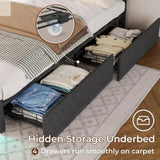 ADORNEVE Queen LED Bed Frame with 4 Drawers and 2 USB Charging Station, Upholstered Platform Queen Size Bed Frame with LED Light Allen Cozy Haven Store