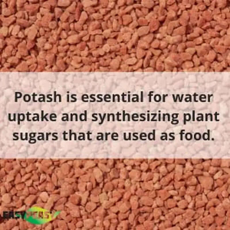 All-Natural Muriate of Potash - Granular Potassium Fertilizer (0-0-60) for Indoor and Outdoor Plants and Yards-Allen Cozy Haven Store