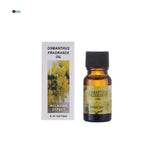 Aromatherapy Essential Oil Humidifier - Allen Cozy Haven Store -  