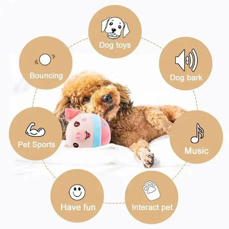 Interactive Cat Toy - Self-Moving Bouncing Toy for Indoor Entertainment-Allen Cozy Haven Store