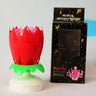 Lotus Blossom Musical Birthday Candles Allen Cozy Haven Store