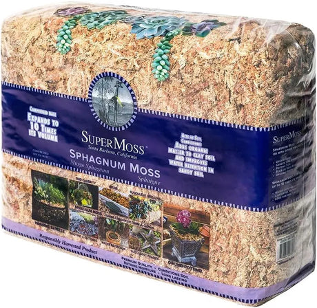 Orchid Sphagnum Moss - Dried Natural 8 oz-Allen Cozy Haven Store