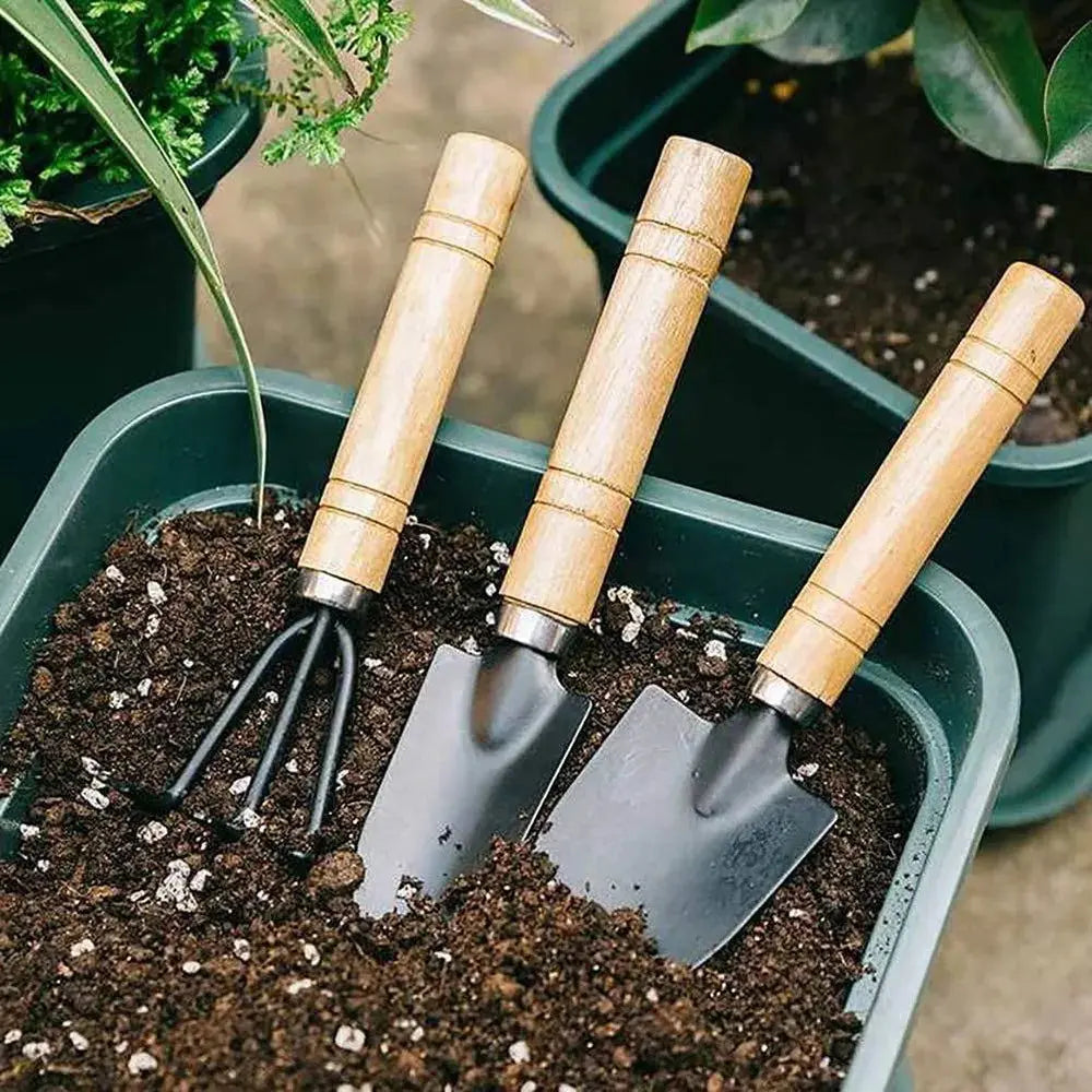Professional 3-Piece Mini Garden Tool Set for Comprehensive Indoor and Outdoor Plant Care-Allen Cozy Haven Store