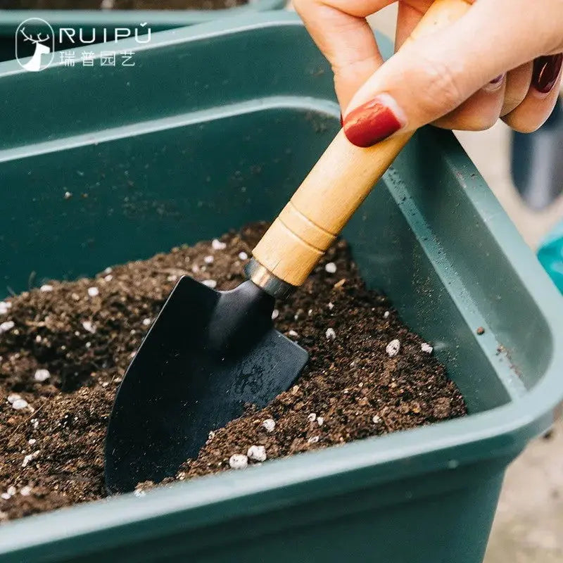 Professional 3-Piece Mini Garden Tool Set for Comprehensive Indoor and Outdoor Plant Care-Allen Cozy Haven Store