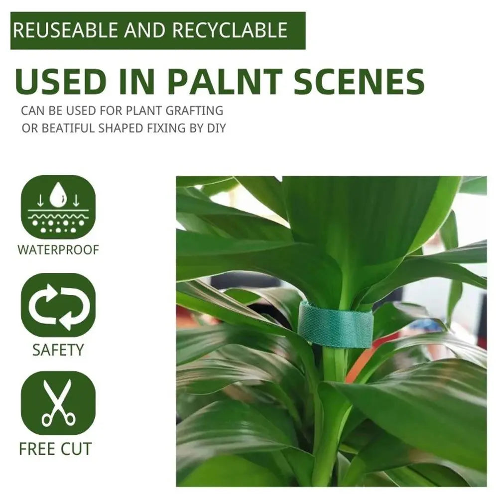 Professional Plant Support Bandage Tie - 5M, 3-Pack, Hook and Loop Wrap for Bamboo Canes in Home Gardens-Allen Cozy Haven Store