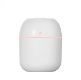 S176cd90af3364ddf8865a1314988f38fg