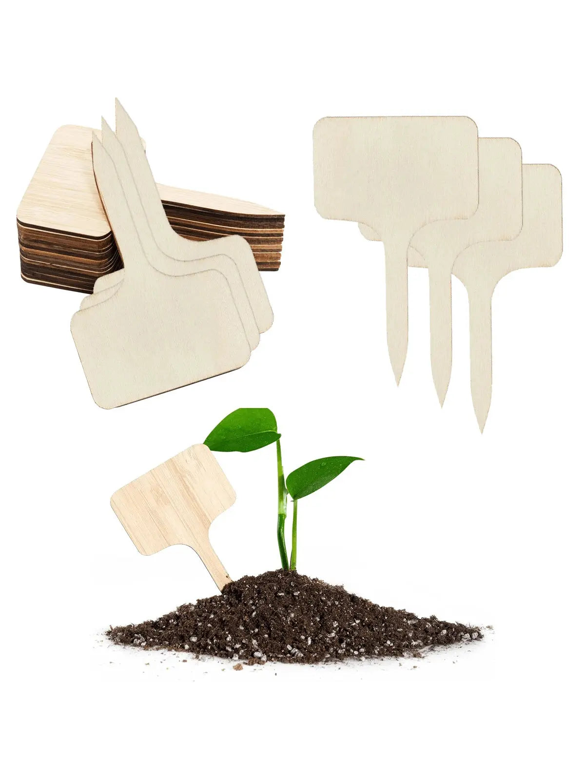 Wooden T-Type Plant Labels - Set of 10/15/25/50 Garden Markers for Outdoor and Potted Plants-Allen Cozy Haven Store