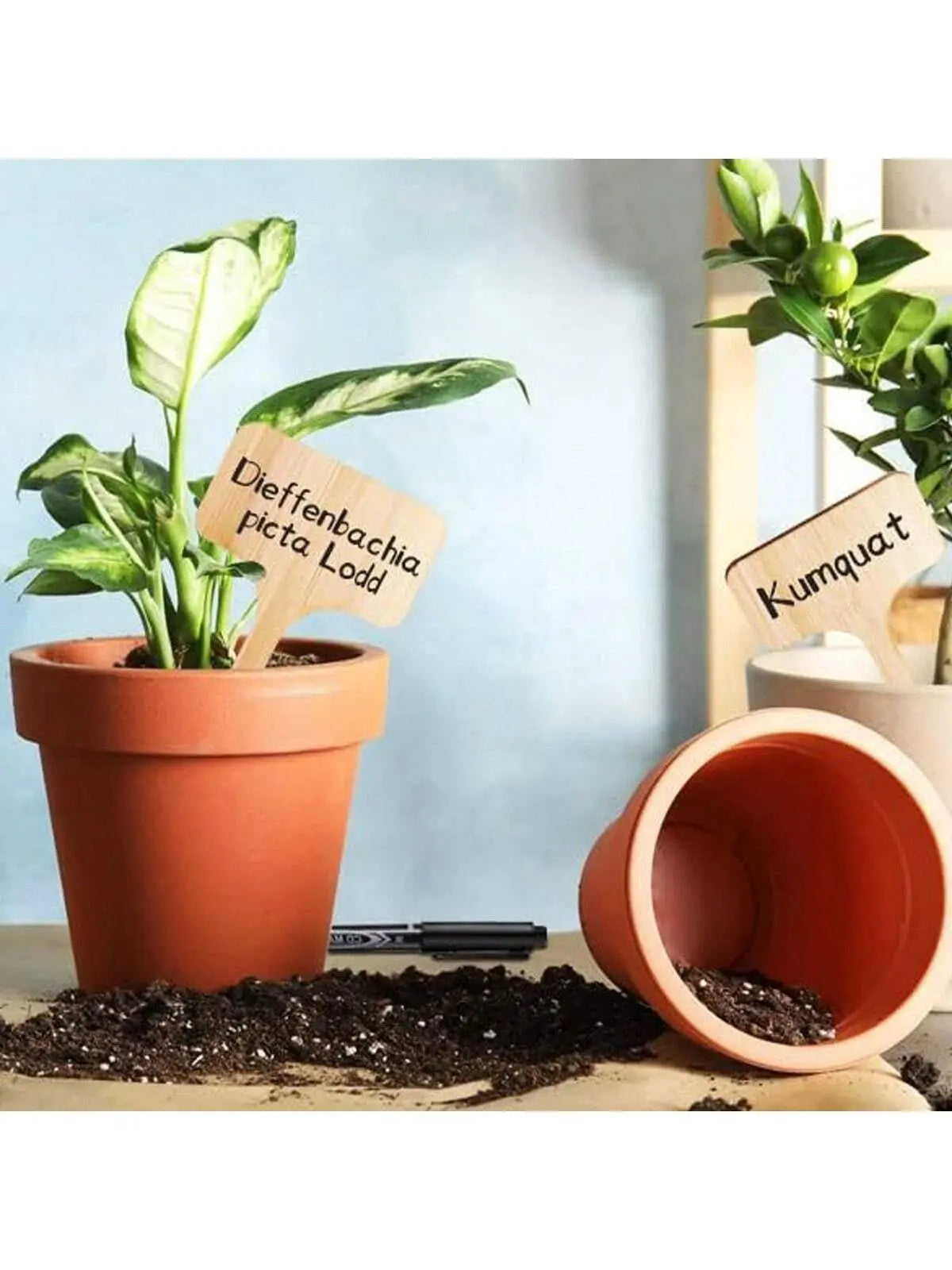 Wooden T-Type Plant Labels - Set of 10/15/25/50 Garden Markers for Outdoor and Potted Plants-Allen Cozy Haven Store