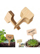 Wooden T-Type Plant Labels - Set of 10/15/25/50 Garden Markers for Outdoor and Potted Plants-Allen Cozy Haven Store