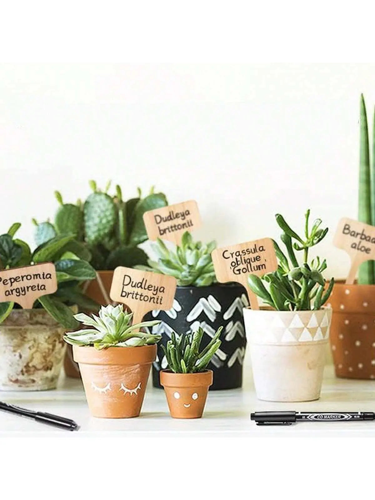 Wooden T-Type Plant Labels - Set of 10/15/25/50 Garden Markers for Outdoor and Potted Plants-Allen Cozy Haven Store