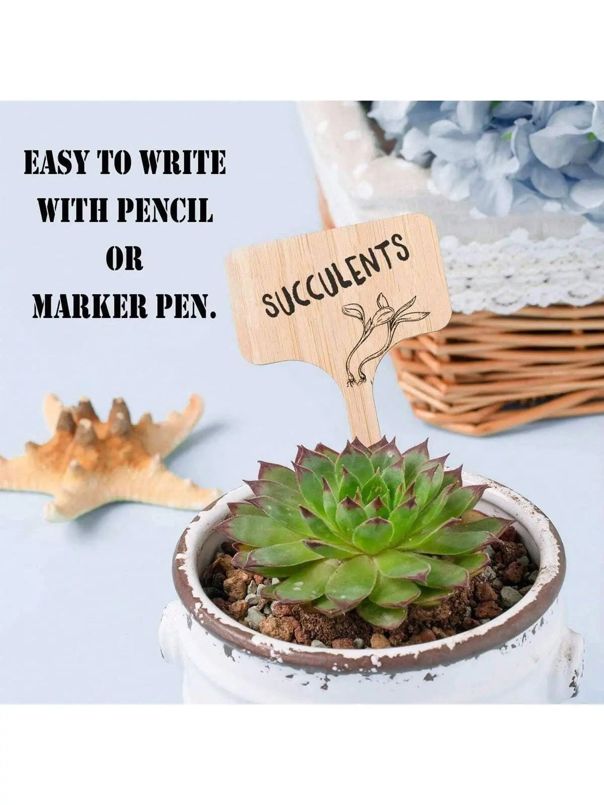 Wooden T-Type Plant Labels - Set of 10/15/25/50 Garden Markers for Outdoor and Potted Plants-Allen Cozy Haven Store